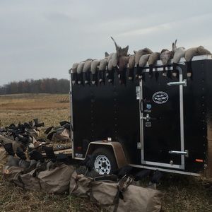 Meet your Posher, Wade